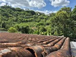 Vista 1