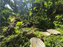 Vista 17