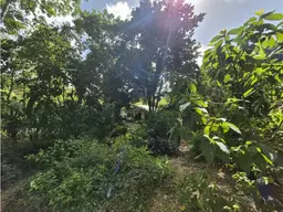 Vista 18