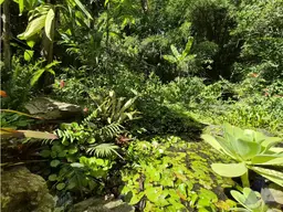 Vista 24