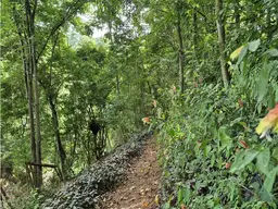 Vista 27