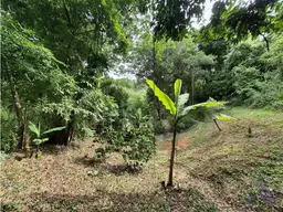Vista 29