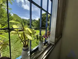 Vista 31