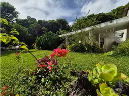 Vista 6