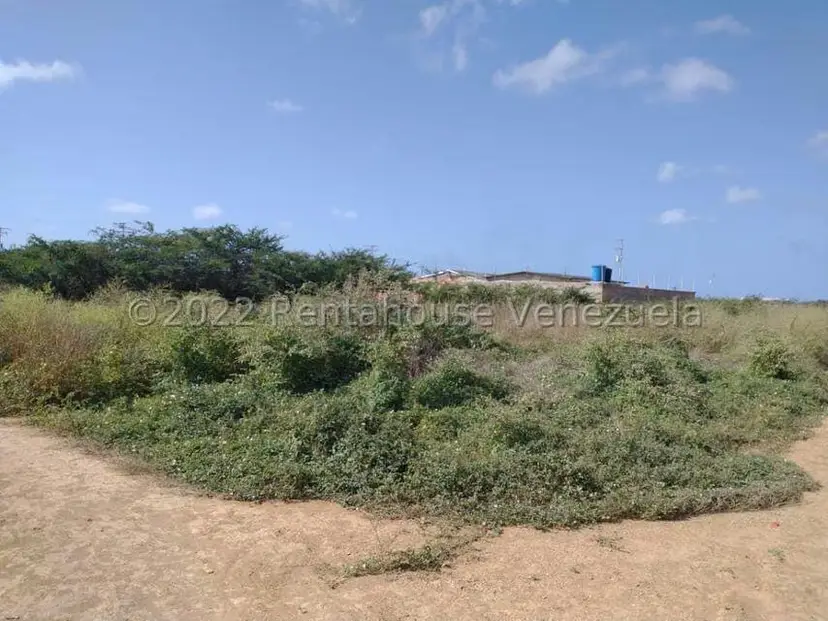 Terreno (Residencial) en Venta en Guanadito, Falcon