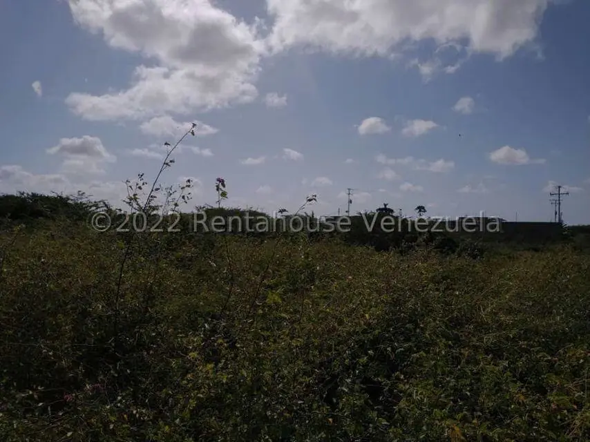 Terreno (Residencial) en Venta en Guanadito, Falcon - 2