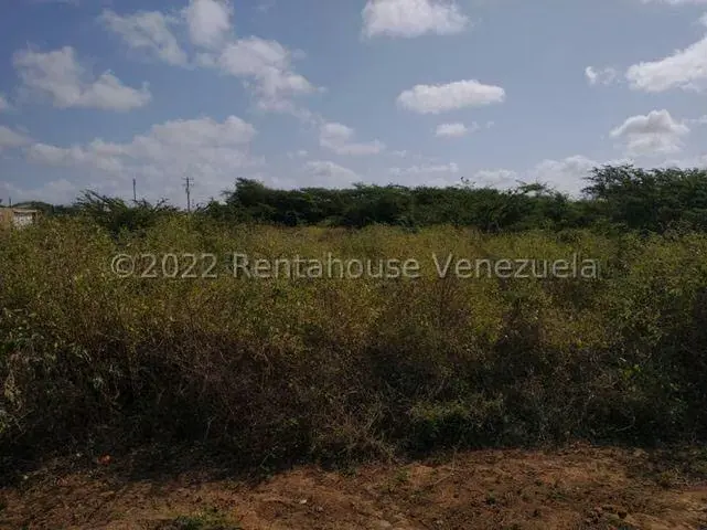 Terreno (Residencial) en Venta en Guanadito, Falcon - 5