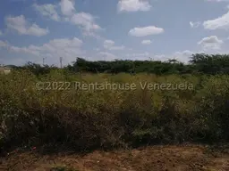 Vista 5