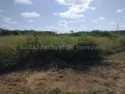 Vista 7