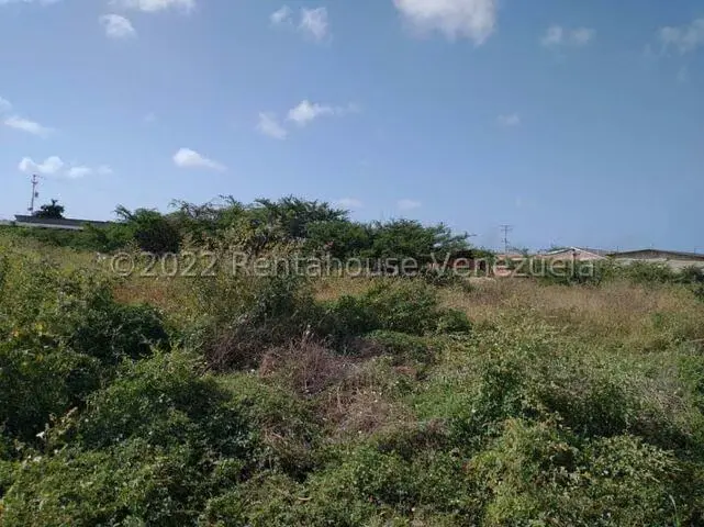Terreno (Residencial) en Venta en Guanadito, Falcon - 10