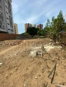 View 5