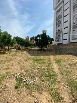 View 6