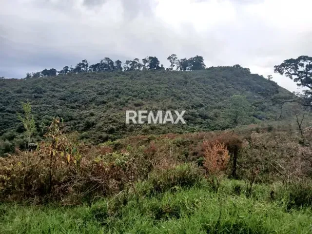 Finca en venta - 11