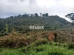 View 11