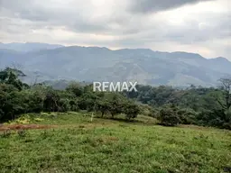 View 12