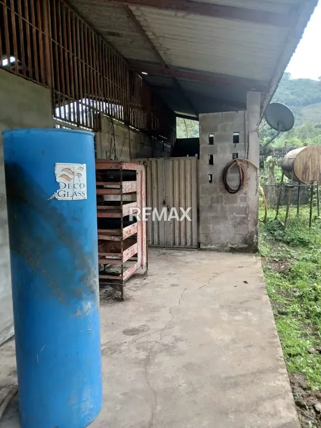 Finca en venta - 6