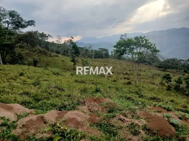 Finca en venta - 10
