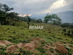 View 10