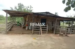 Vista 1