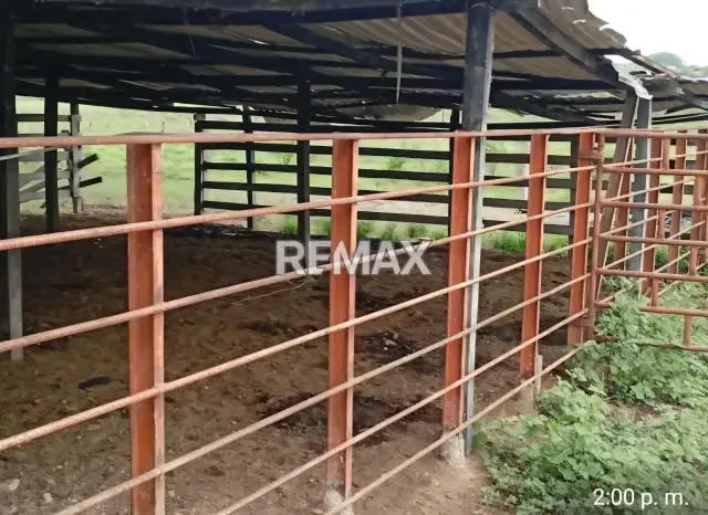Venta de Finca 65 ha enLas Vegas Todo Incluido - 14