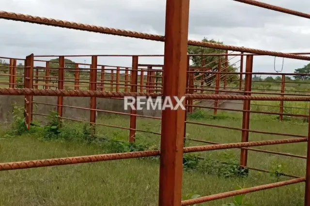 Venta de Finca 65 ha enLas Vegas Todo Incluido - 15