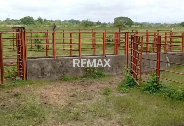 Venta de Finca 65 ha enLas Vegas Todo Incluido - 16