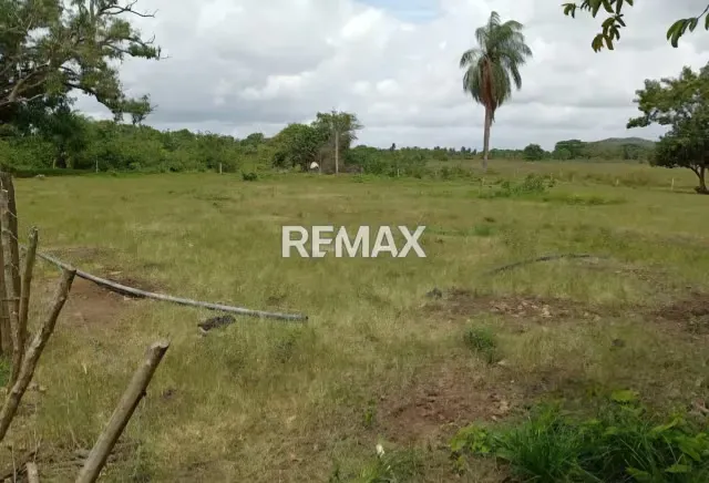 Venta de Finca 65 ha enLas Vegas Todo Incluido - 18