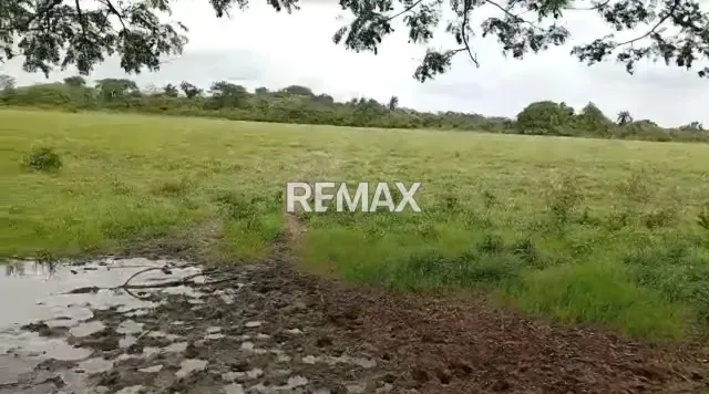 Venta de Finca 65 ha enLas Vegas Todo Incluido - 19