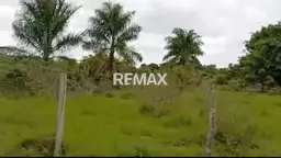 Vista 4