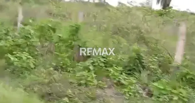Venta de Finca 65 ha enLas Vegas Todo Incluido - 5
