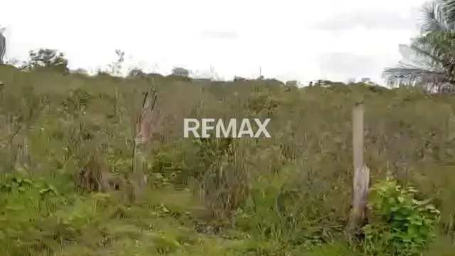 Venta de Finca 65 ha enLas Vegas Todo Incluido - 6