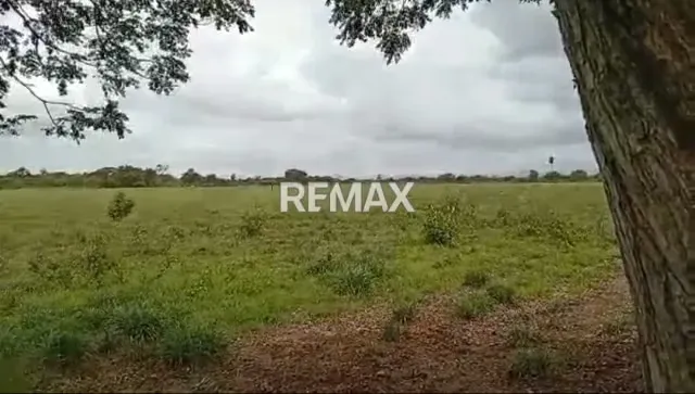 Venta de Finca 65 ha enLas Vegas Todo Incluido - 8