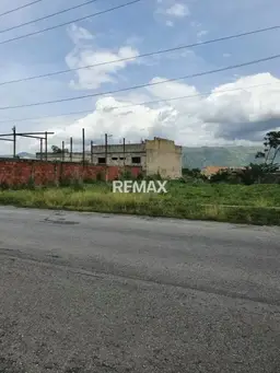 View 1