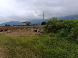 View 1