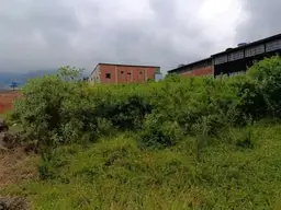 View 4
