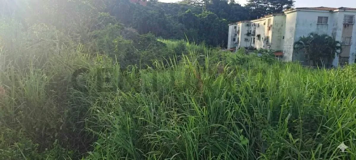 VENTA DE TERRENO HIGUEROTE VIA PRINCIPAL EXCELENTE UBICACIÓN - 3