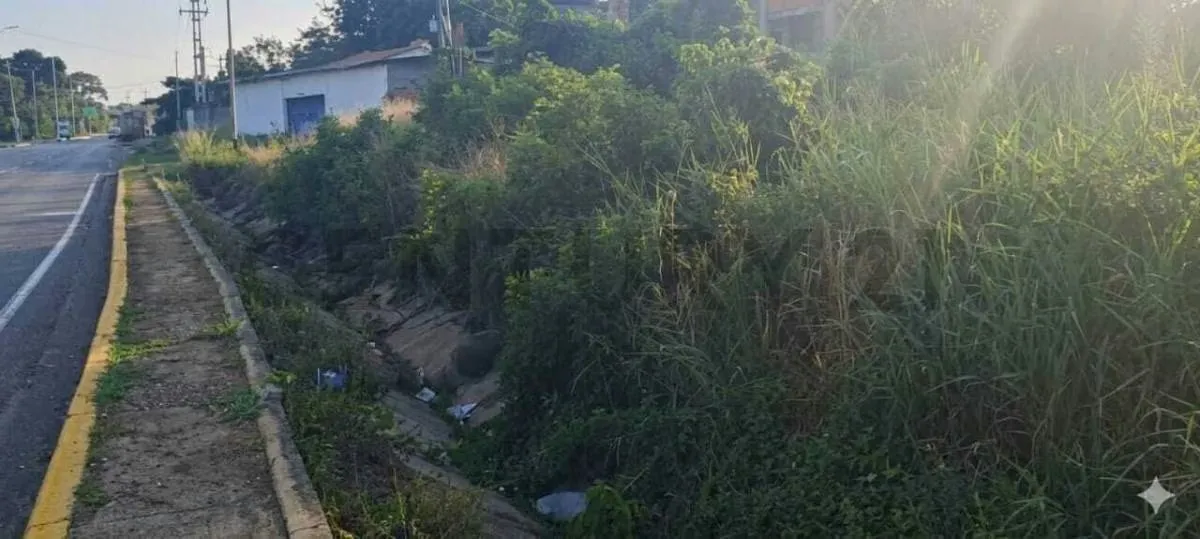 VENTA DE TERRENO HIGUEROTE VIA PRINCIPAL EXCELENTE UBICACIÓN - 4