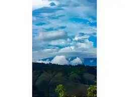 Vista 13