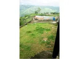 Vista 19