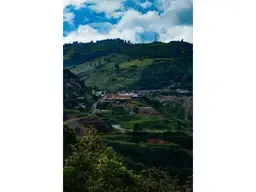 Vista 22