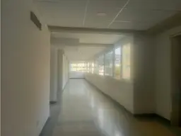 Vista 5