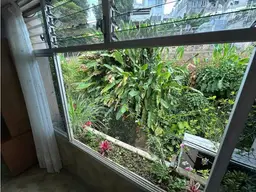 View 14