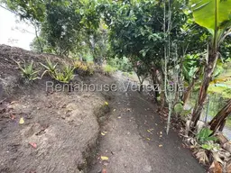View 12