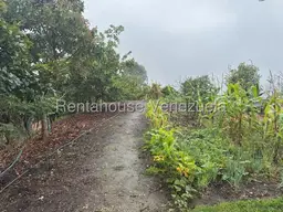 View 6