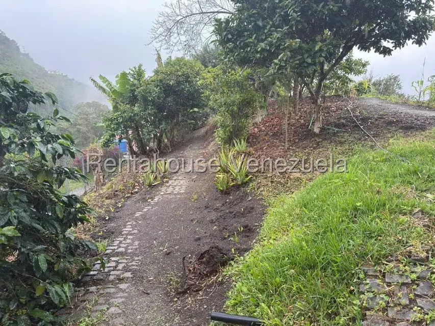 Terreno (Comercial) en Venta en La Colonia Tovar, Aragua - 7