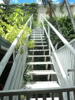 Vista 5