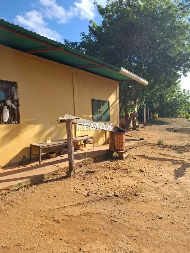 En venta Casa con Galpón y Terreno en la zona Norte de Barquisimeto - 3