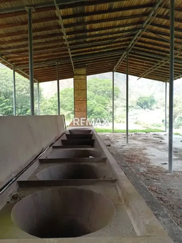 Se vende lote de terreno con trapiche a estrenar