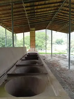 Vista 1