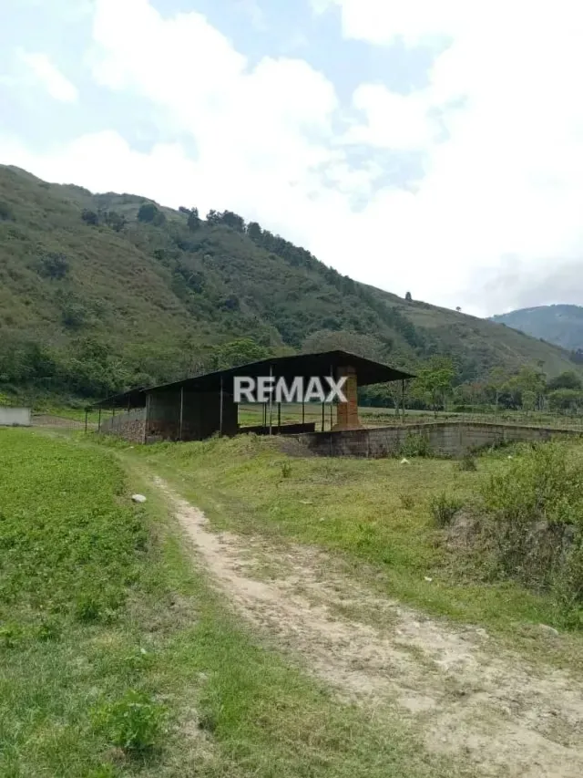 Se vende lote de terreno con trapiche a estrenar - 3